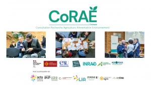 Affiche Consultation CORAE