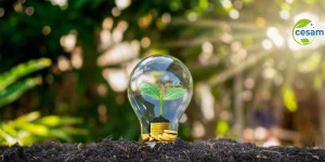 Affiche Secondement CESAM