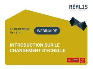 Affiche [REALIS] Webinaire : Introduction sur le changement d'échelle